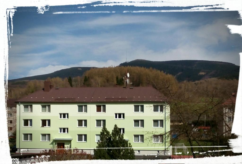 鲁纳德斯诺阿帕特曼酒店 Loučná nad Desnou 外观 照片